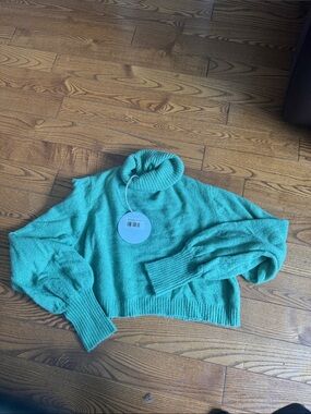 Princess Polly Cropped Turtleneck Sweater in Teal Green